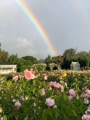 Flower Foraging, Garden Walk, BYO Picnic