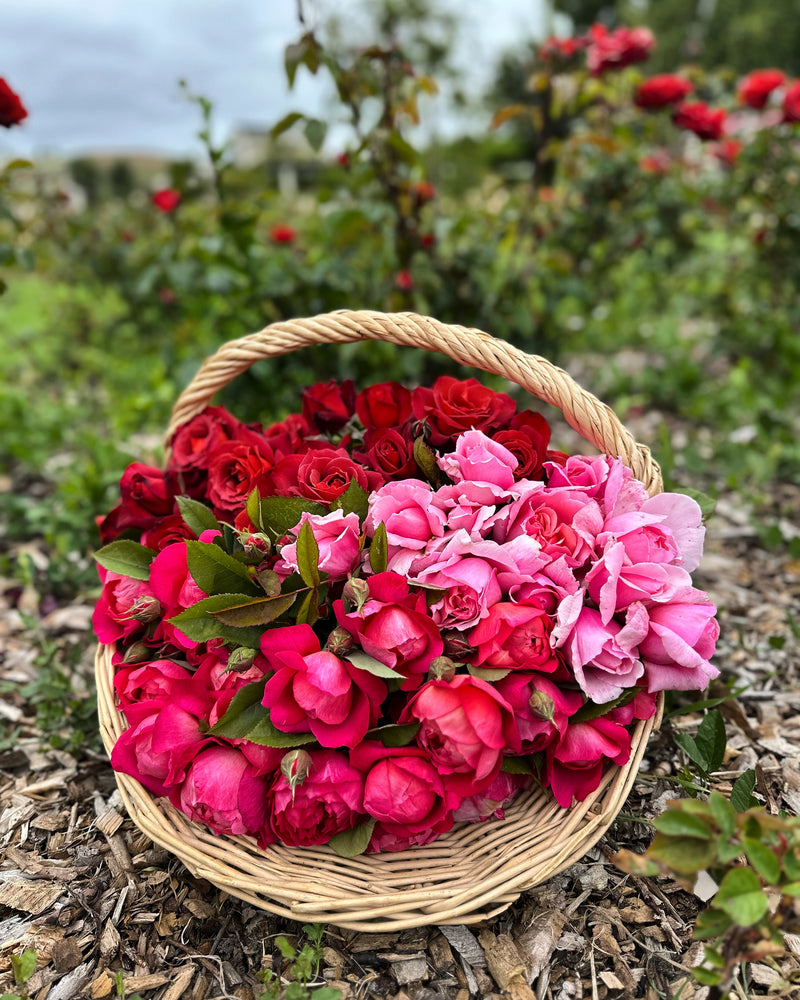 Gift - Flower Foraging Experience – Garden Valley Ranch