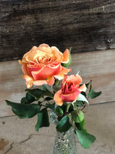 Fresh cut flowers - Peach, Orange, Apricot