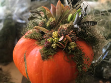 Holiday decorating with pumpkins and succulents