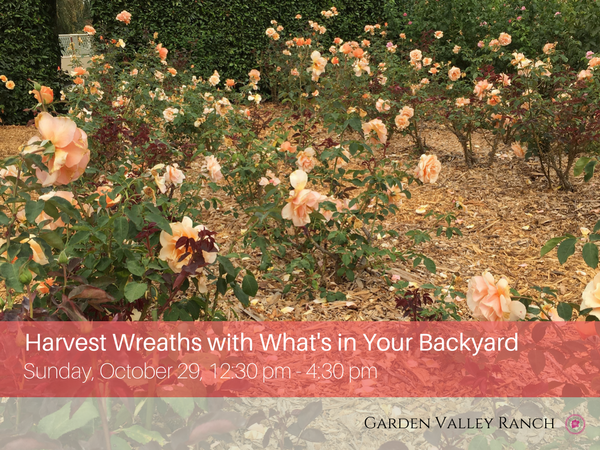 Harvest Wreaths with What’s in Your Backyard